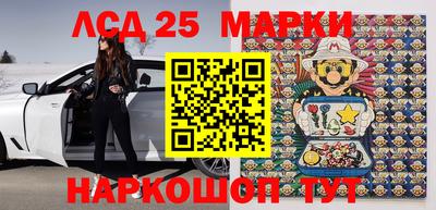 шишки Сосновый Бор