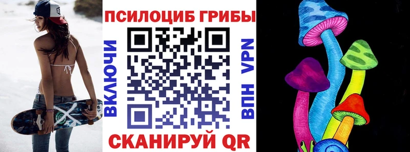 Псилоцибиновые грибы Psilocybine cubensis  даркнет официальный сайт  Губаха 