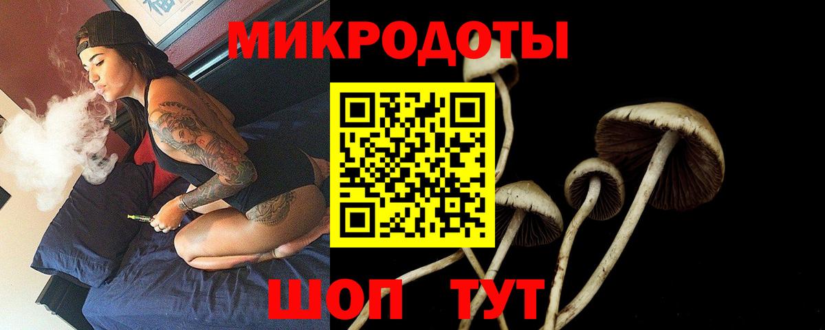 Губаха  Псилоцибиновые грибы Magic Shrooms  Псилоцибиновые грибы Psilocybine cubensis  Вход с VPN 