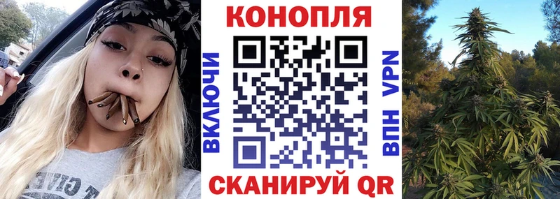 Канабис сатива  мориарти телеграм  Губаха 
